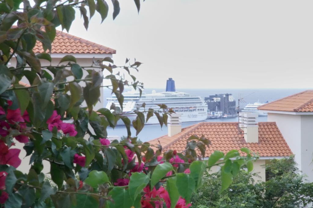 Apartament Carvalhal Old Town Funchal  Zewnętrze zdjęcie